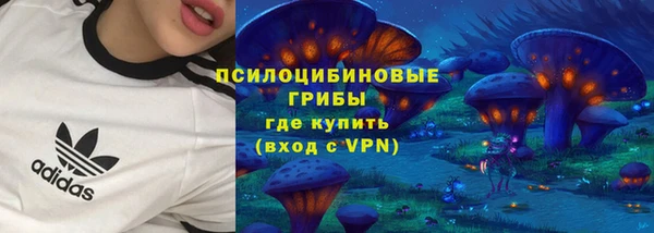 мдпв Каменка
