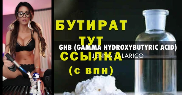 мдпв Каменка
