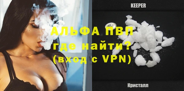 мдпв Каменка