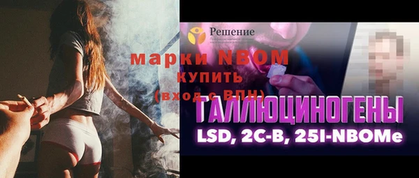 мдпв Каменка