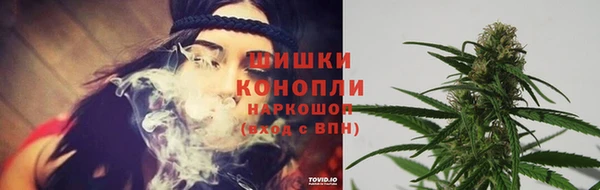 мдпв Каменка