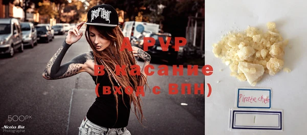 мдпв Каменка