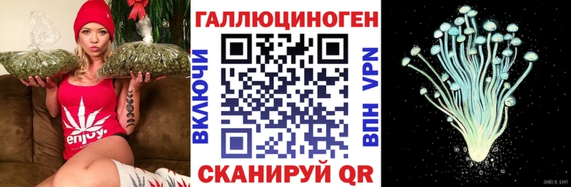 Псилоцибиновые грибы Psilocybine cubensis  сколько стоит  Киренск 